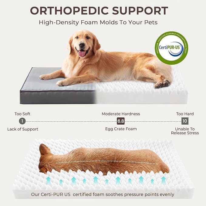 2-Pack Waterproof Dog Bed Medium Size Dogs, Plush Cushion & Orthopedic - Image 3