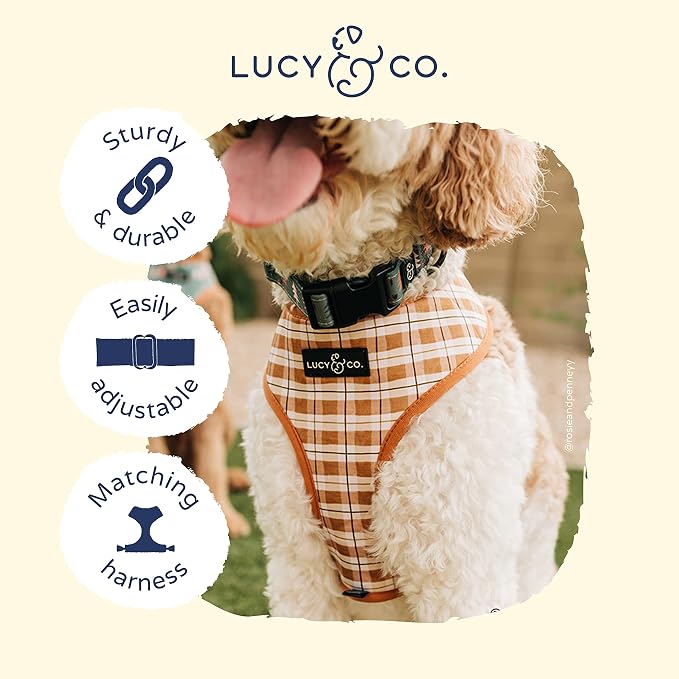 Lucy & Co. Take a Hike Adjustable Dog Collar- Cute Designer Pet Collar - Image 3