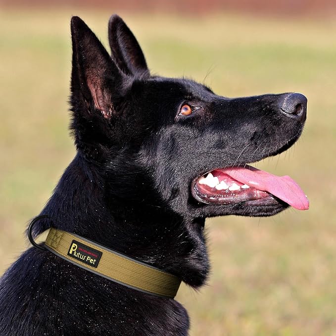 Plutus Pet Tactical Dog Collar, Reflective, Adjustable Heavy Duty Dog Collar - Image 6