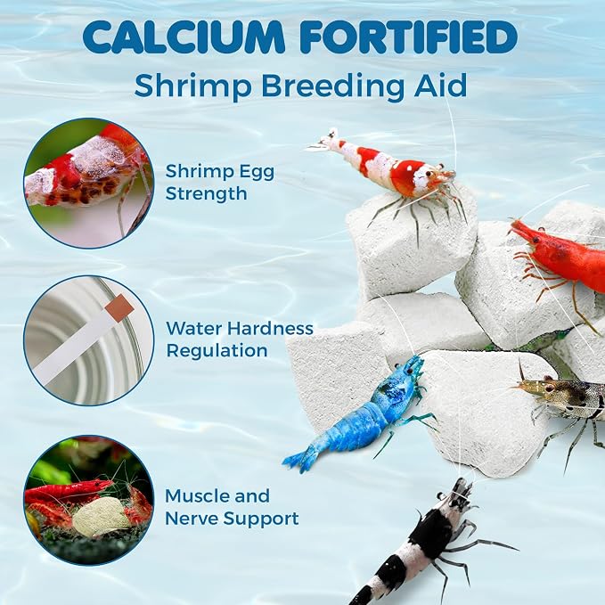 SunGrow Shrimp Rocks for Aquarium, 4-oz. Calcium Stones for Freshwater Aquarium - Image 3
