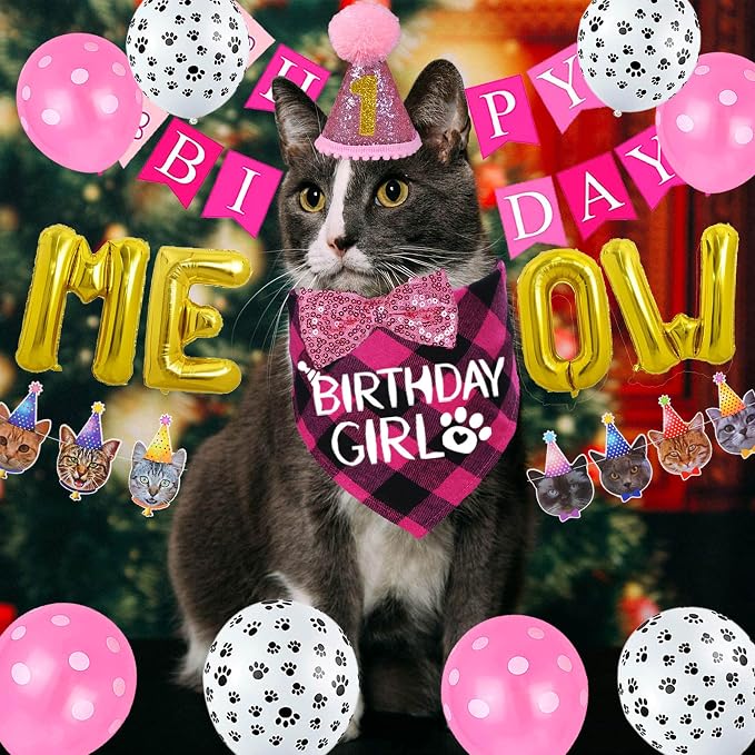 STMK Cat Birthday Party Supplies - Image 2