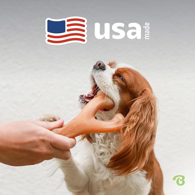 Benebone Wishbone Durable Dog Chew Toy - Image 5
