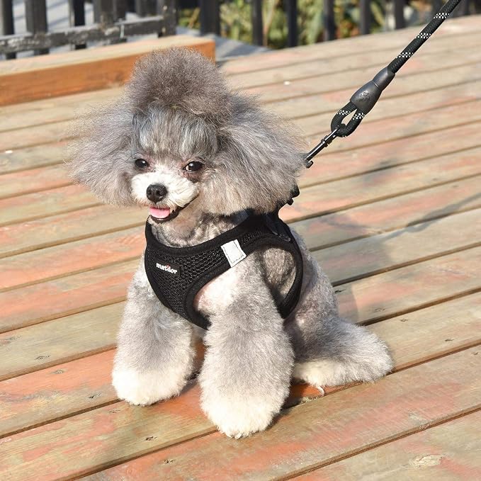 Dog Harness Step-in Breathable Puppy Cat Dog Vest Harnesses - Image 6