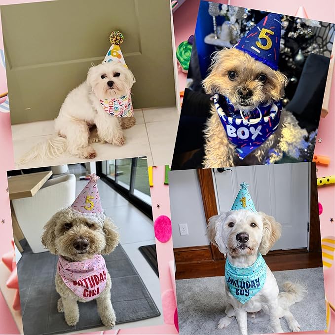 Dog Birthday Bandana Set, Rose Pink Birthday Girl Decorations, HBD Party - Image 6