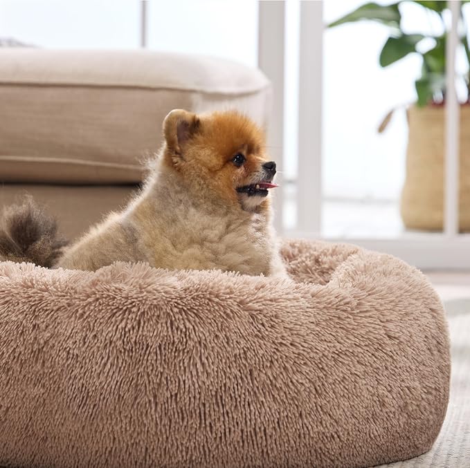Bedsure Calming Dog Bed for Small Medium Dogs - Image 7