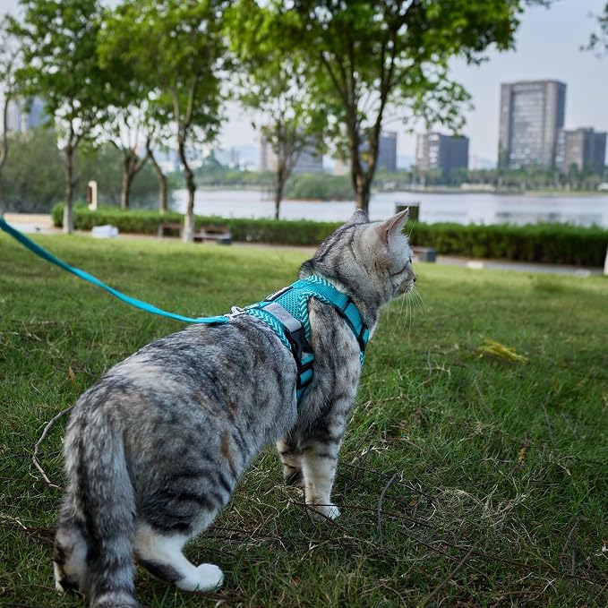 Cat Harness and Leash Escape Proof Small Kitten Harness Abyssinian Cat Vest - Image 2