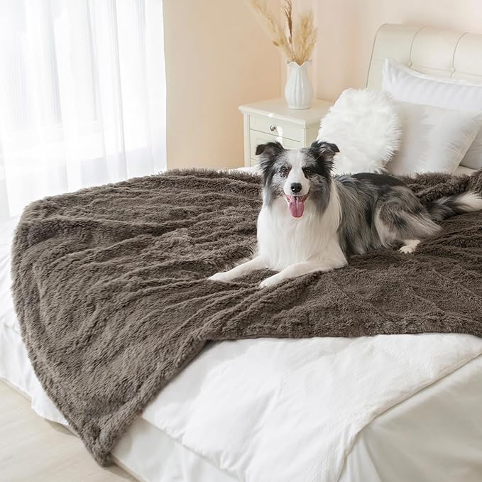 gogobunny Waterproof Dog Blanket - Image 7