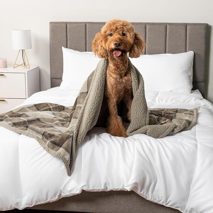PetAmi Waterproof Dog Blanket for Medium Large Dog Puppy Cat Throw for Couch - Image 7