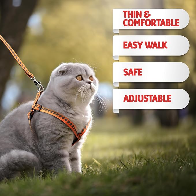 Filbert Cat Harness and Leash Set - Image 2