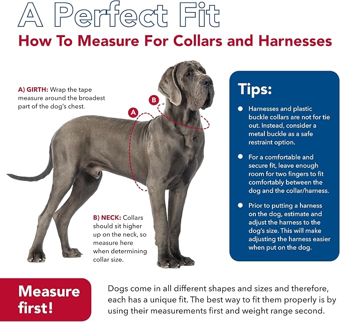 Coastal Pet - Ribbon - Adjustable Dog Collar - Image 7