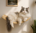 Curved Cat Wall Hammock with Scratchable Sisal Pad, Large Floating Cat Shelf by PELUOMOZ
