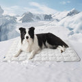 Bedsure Cooling Mat for Large Dogs – 41x28 Thin Washable Cooling Pet Pad for by BEDSURE