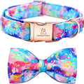 Lionheart glory Dog Collar, Colorful Dog Collar by LionheartGlory