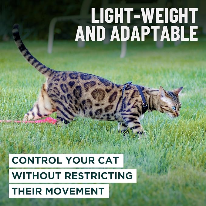 Houdini™ Escape Proof Kitten Harness and Leash Set by OutdoorBengal – Turquoise - Image 7