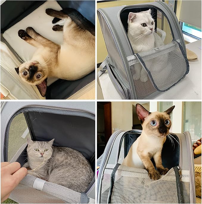 Texsens Pet Backpack Carrier for Small Cats Dogs | Ventilated Design, Safety - Image 6