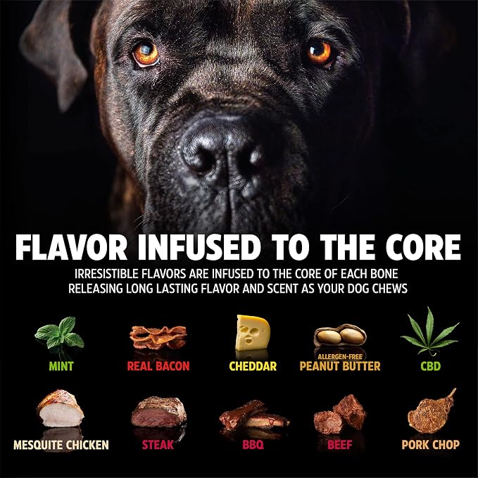 Pet Qwerks Dinosaur BarkBone - Image 5
