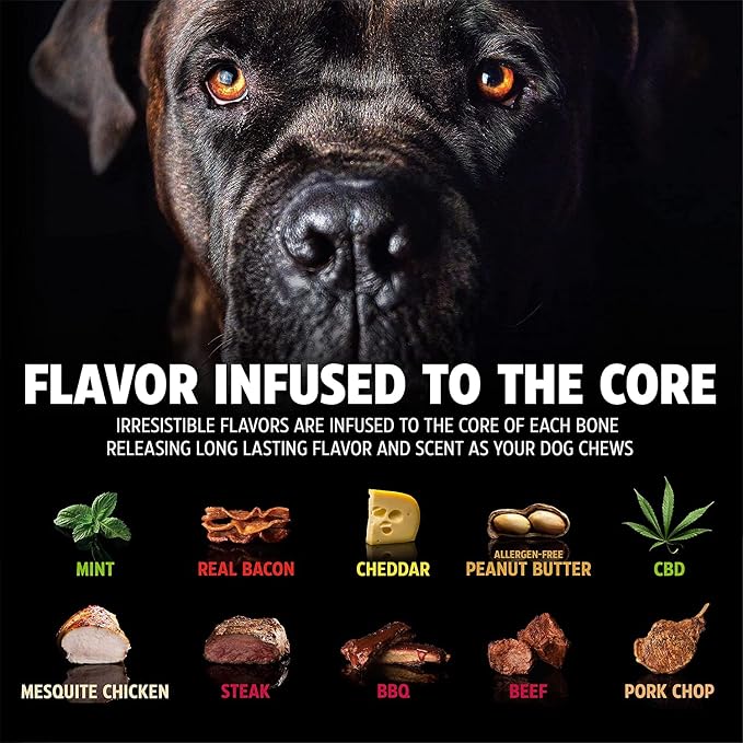 Pet Qwerks Nylon Stick BarkBone - Image 3