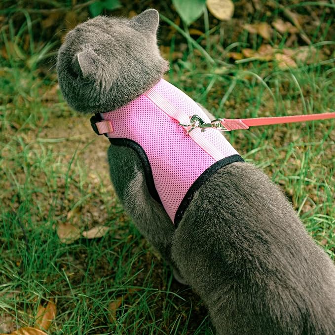 PUPTECK Soft Mesh Cat Vest Harness and Leash Set Puppy Padded Pet Harnesses - Image 6