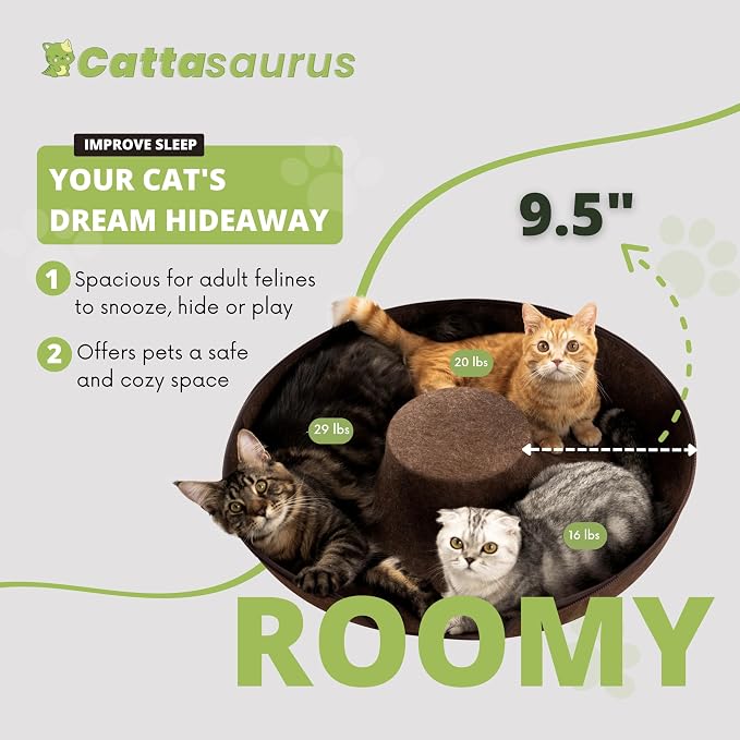 Cattasaurus Peekaboo Cat Cave Donut - Image 4