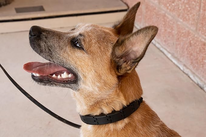Starmark Pro-Training Dog Collar Small - Image 6
