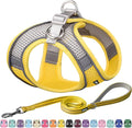AIITLE Easy Walk Dog Harness and Leash Set by AIITLE-FORPETSBETTERLIFE