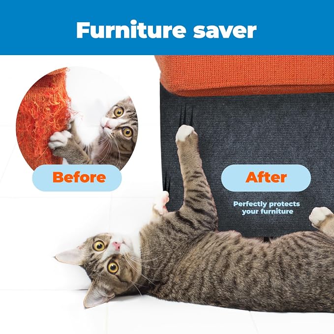 Best Pet Supplies Catify Cat Scratcher, Fun Interactive Scratchers, Claw Safe - Image 2