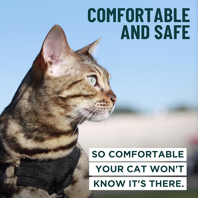 Houdini™ Escape Proof Cat Harness and Leash Set by OutdoorBengal – Orange - Image 4
