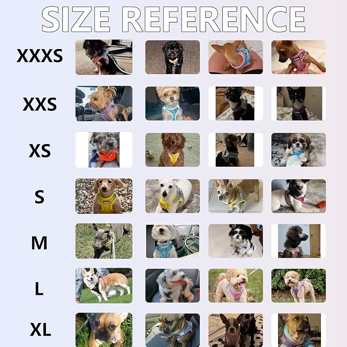 AIITLE Step in Dog Harness and Leash Set - Image 8