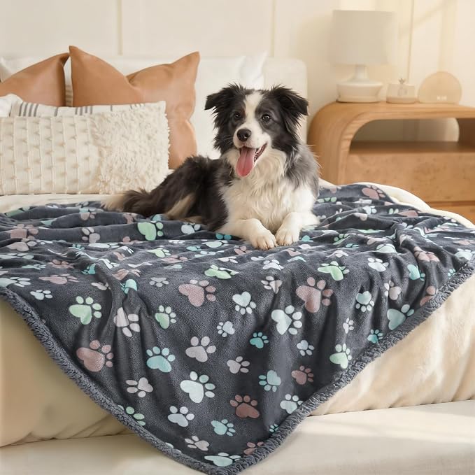Luciphia Waterproof Pet Blankets - Image 5