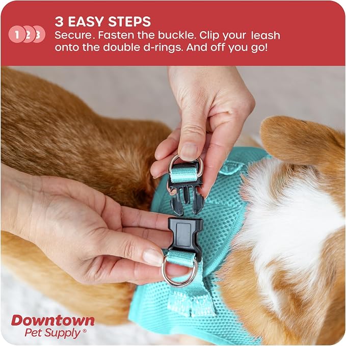 Downtown Pet Supply Step-in Dog Harness – No Pull, Adjustable Padded Mesh - Image 5
