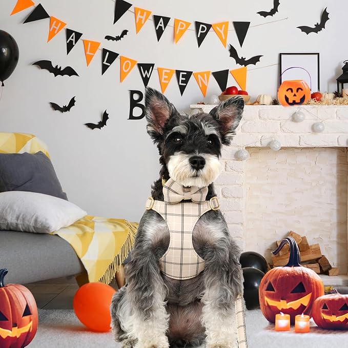 Beirui Cute Small Dog Harness Collar and Leash Set - Image 4