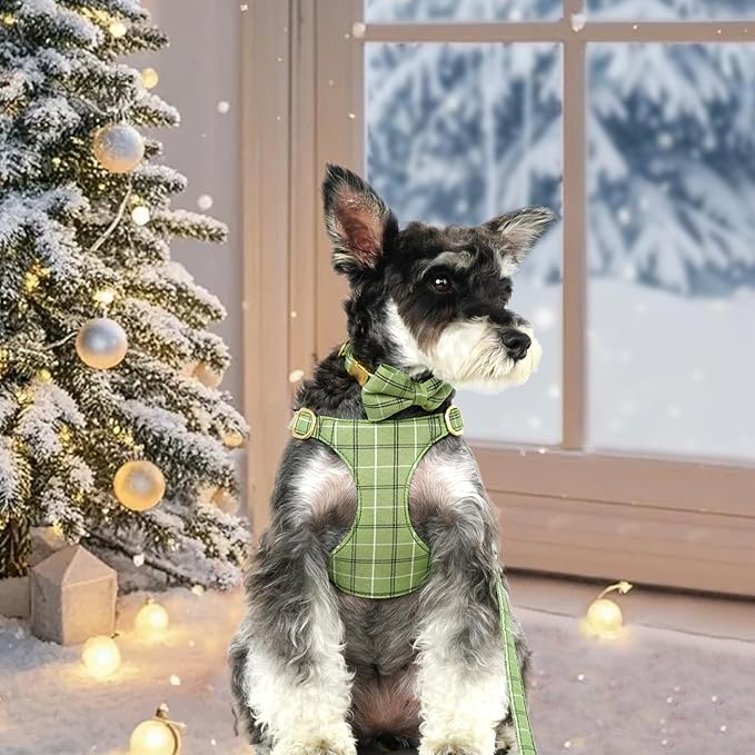 Beirui Cute Small Dog Harness Collar and Leash Set - Image 4