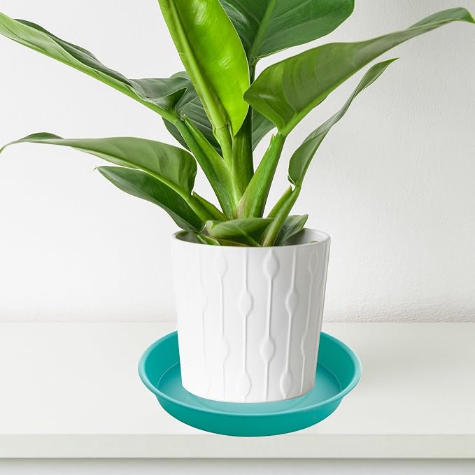 6 Pack of 6 inch Plant Saucer Drainage Tray, 4 5 7 8 10 12 13 15 17 19 inch - Image 5