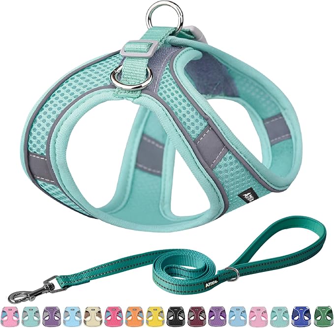 AIITLE Small Harness for Puppy by AIITLE-FORPETSBETTERLIFE