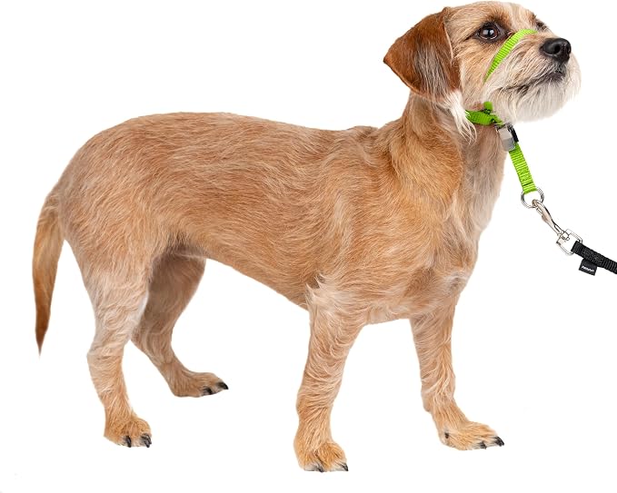 PetSafe Gentle Leader No-Pull Dog Headcollar by PetSafe