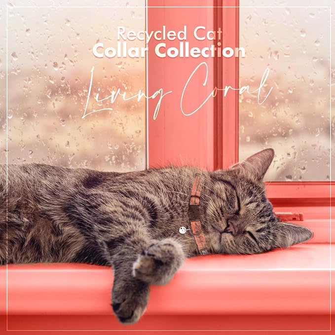 Pawtitas Recycled Coral Reflective Cat Collar – Eco-Friendly Breakaway Safety - Image 9