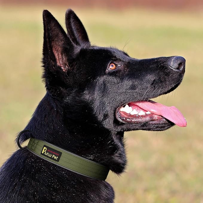Plutus Pet Tactical Dog Collar, Reflective, Adjustable Heavy Duty Dog Collar - Image 6