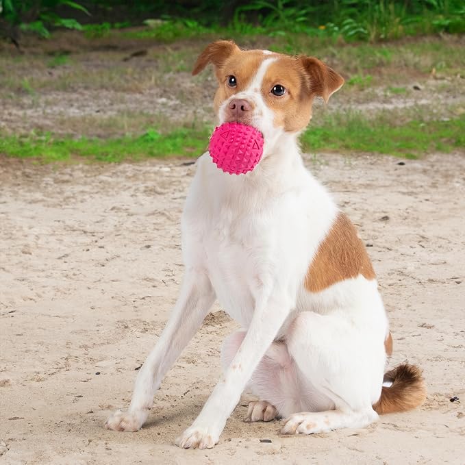 Best Pet Supplies Squeaky Dog Toys - Image 6
