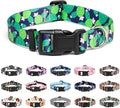 Mercano Adjustable Dog Collar by Unknown