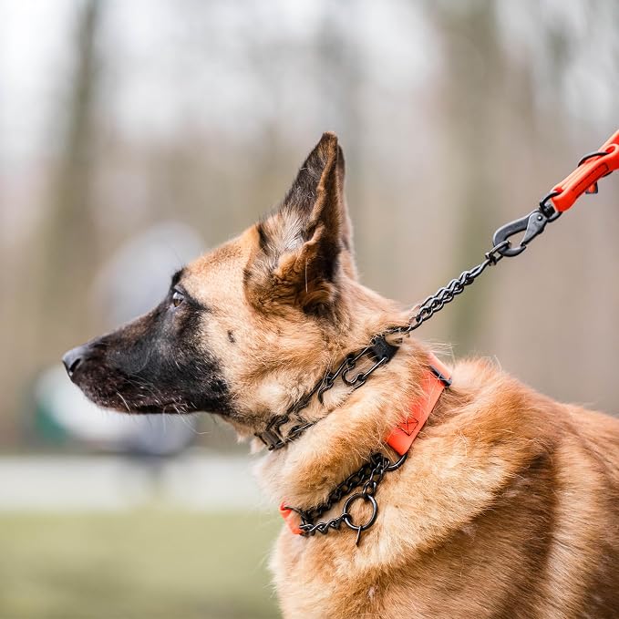 Herm Sprenger Black Stainless Steel Dog Collar - Image 8
