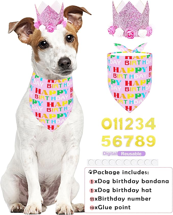 PET SHOW Pink Crown Hat Dog Birthday Party Supplies - Image 3