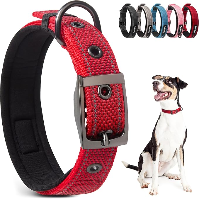 PetiFine Dog Collar with Metal Buckle, Heavy Duty Dog Collar with Soft Neoprene by PetiFine