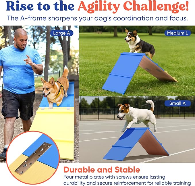 FetchFlow Dog Agility Training Equipment – Complete Backyard Agility Course Set - Image 2