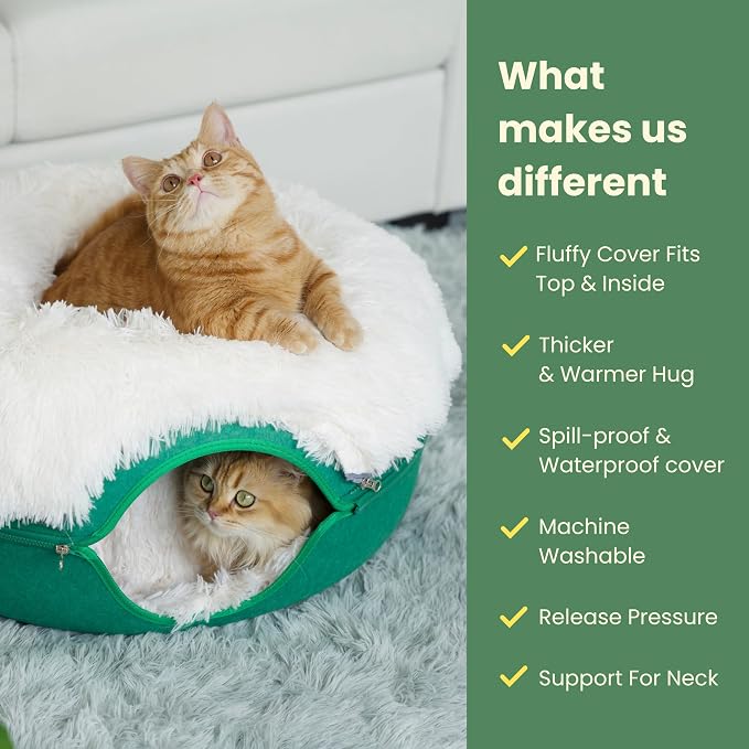 CATTASAURUS Peekaboo Cat Cave for Multiple & Large Cats Up to 30-45 Lbs - Image 2
