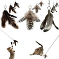 Feather Toys Replacements by Repounce