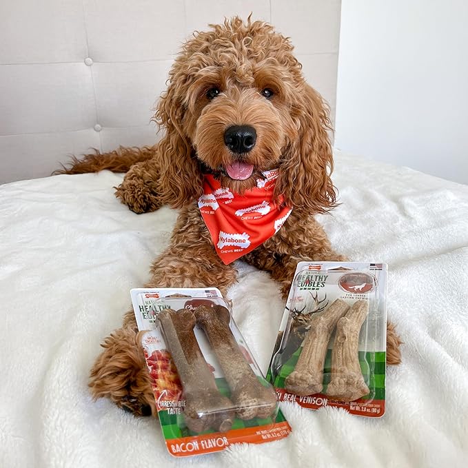 Nylabone Healthy Edibles WILD Natural Dog Chew Treats - Image 2