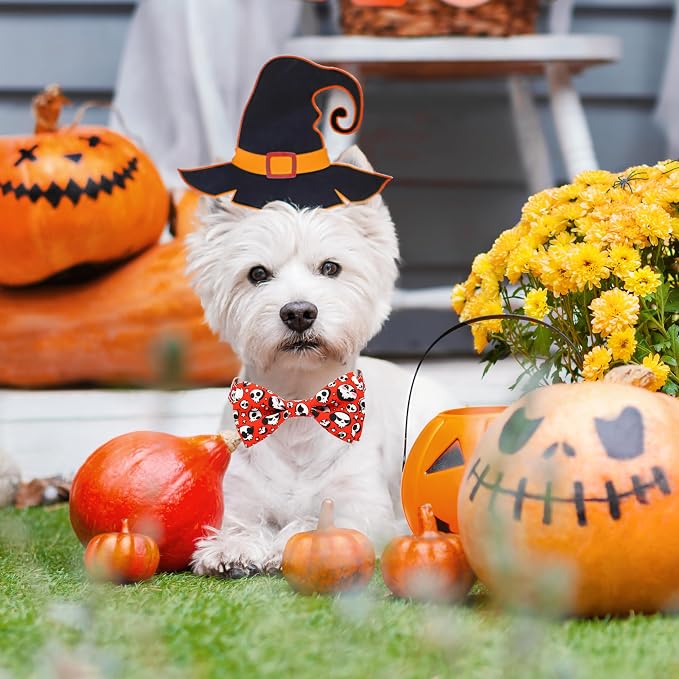 Halloween Dog Collar, Holiday Adjustable Ghost Skull Collar - Image 3