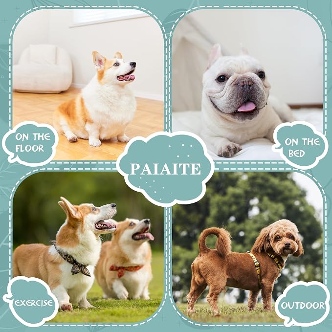 Cozy and Functional Dog Shirts for Small Puppies: Stretchable Gray Attire - Image 2