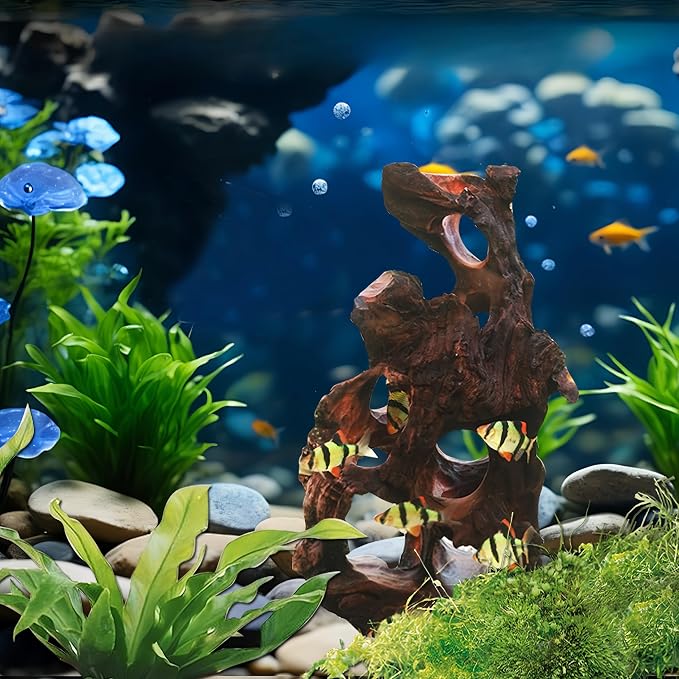 Natural Wood Aquarium Cave Betta Fish Hideout - Image 6