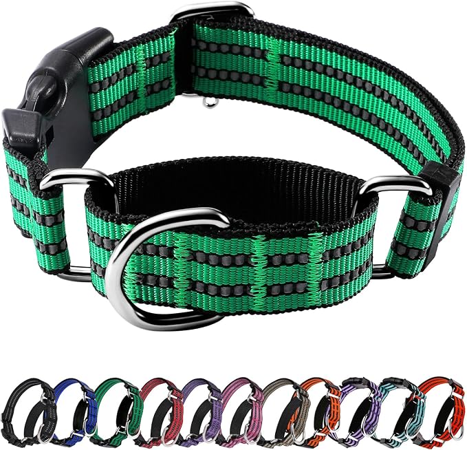 Hikiko Martingale Dog Collars Reflective Nylon Dog Collar by Hikiko